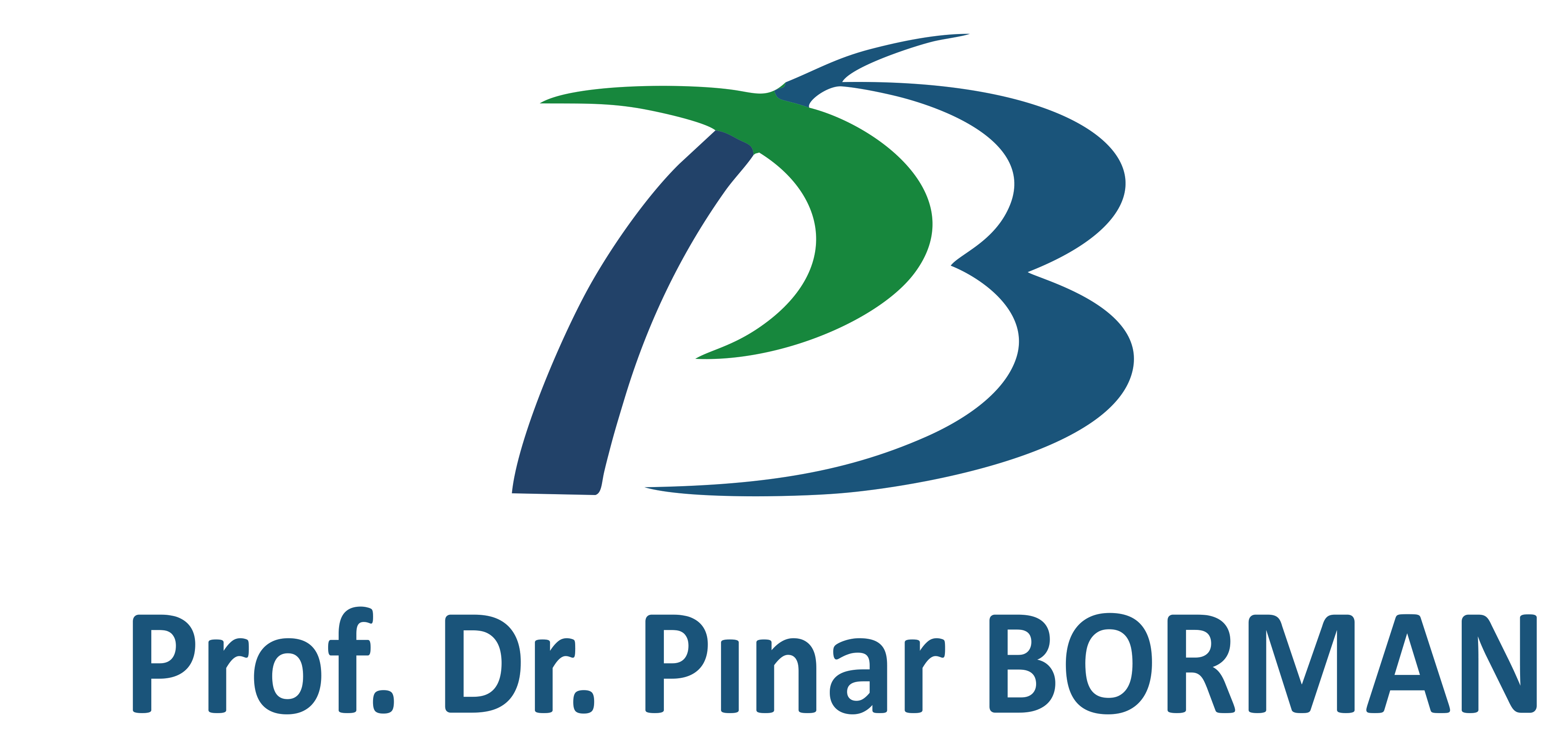 Prof. Dr. Pınar BORMAN